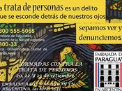 ratas ciudad