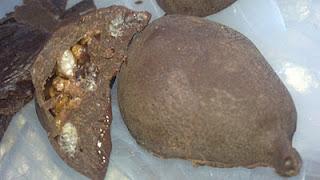 Turroncitos de chocolate