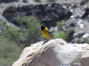 "Viajando Quebrada Humahuaca III"