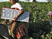 Vocación educación