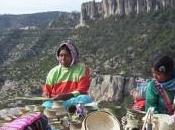 Operación Tarahumara: ¡Muchas gracias ayudar!