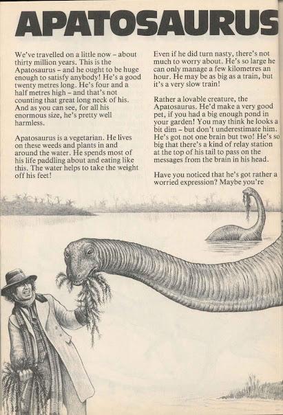 Who are you, Doctor Who?