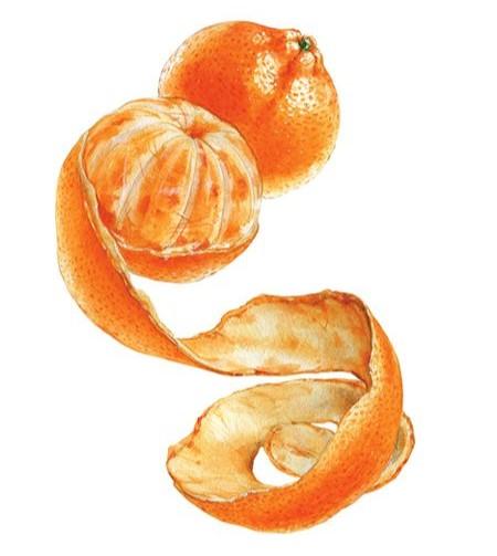 5 FORMAS DE USAR CÁSCARA DE NARANJA EN TU RUTINA DE BELLEZA