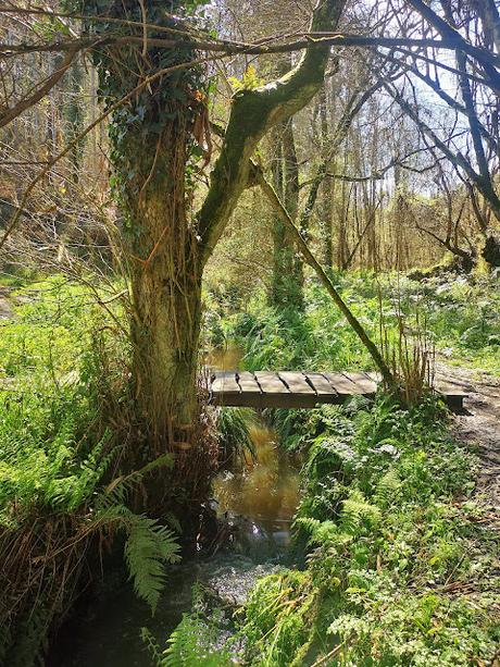 Cascada la Mexona y Playa de Merón