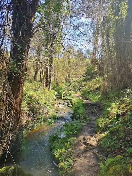 Cascada la Mexona y Playa de Merón