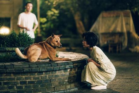 Hachiko 2: Siempre a tu lado legará a salas chilenas este jueves 9 de mayo 9d997357-c4f3-6f73-6af2-634b71eaa6e6