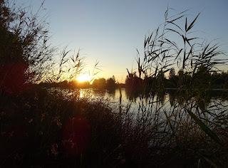 Colaboraciones de Extremadura, caminos de cultura: Versos de la noche extremeña, en Extremadura, noches mágicas