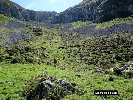 Inguanzo-El Sedu-Ternás-La Canal-El Cuetón-Ostandi