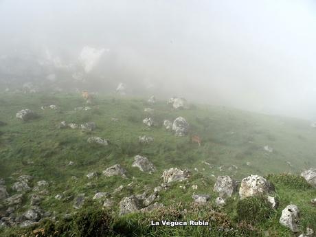 Inguanzo-El Sedu-Ternás-La Canal-El Cuetón-Ostandi