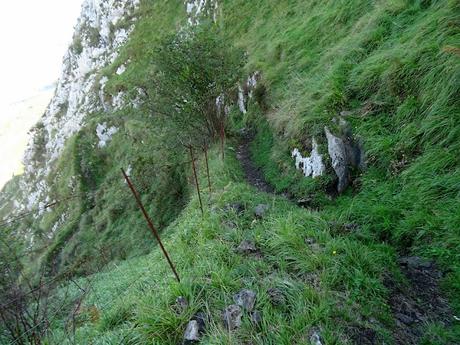 Inguanzo-El Sedu-Ternás-La Canal-El Cuetón-Ostandi