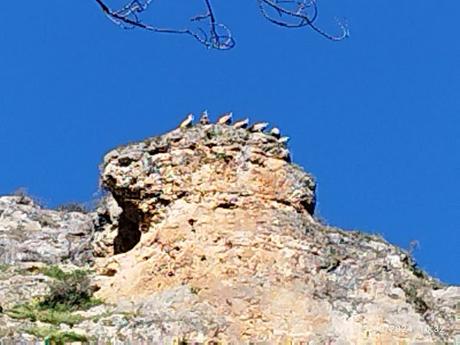 HOCES DEL DURATÓN HOCES DEL DURATÓN