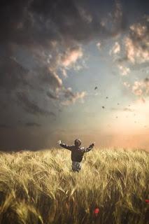 5.832 - LAS NUBES...