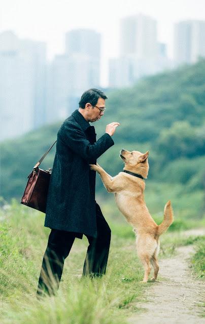 MODALTERNA. Cinema 33mm. “Hachiko 2” la película que te hará abrazar a tu mascota