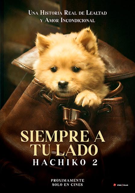 MODALTERNA. Cinema 33mm. “Hachiko 2” la película que te hará abrazar a tu mascota