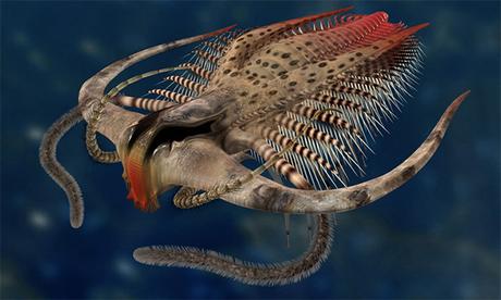 El misterioso mundo precámbrico: así fue el amanecer de los primeros animales de la historia