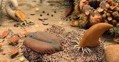 El misterioso mundo precámbrico: así fue el amanecer de los primeros animales de la historia