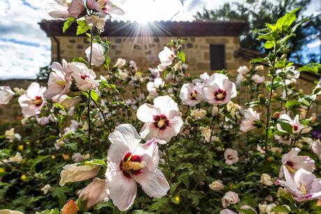 Sajazarra: Historia y Atractivos Turísticos Sajazarra