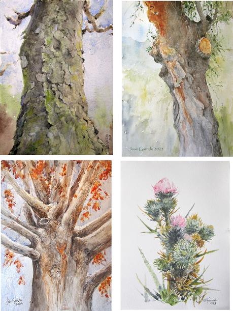 Exposición en La Roda