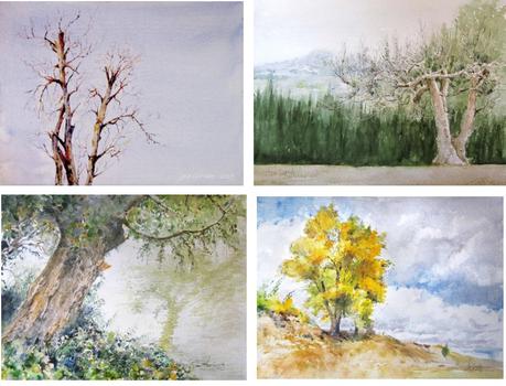 Exposición en La Roda