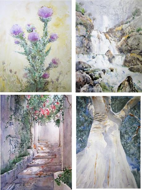 Exposición en La Roda