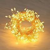 ZWOOS 5 m 300 LED blanco cálido Fairy Lights,Cadena de luces para árbol de Navidad, Plug Power,mando a distancia/control de botones, enchufe europeo, adecuado para Navidad, Dormitorio, Fiesta, Boda