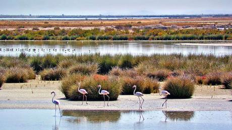 Los mejores parques nacionales según eBooking