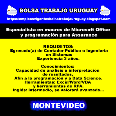 Especialista en macros de Microsoft Office y programación para Assurance