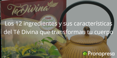 Los 12 ingredientes y sus características del Té Divina que transforman tu cuerpo