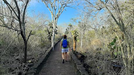 GALÁPAGOS: EN LA ISLA DE SANTA CRUZ GALÁPAGOS: EN LA ISLA DE SANTA CRUZ