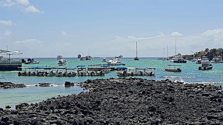 GALÁPAGOS: EN LA ISLA DE SANTA CRUZ GALÁPAGOS: EN LA ISLA DE SANTA CRUZ
