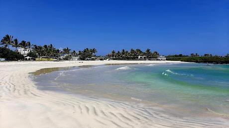 GALAPAGOS:  UNA ISLA LLAMADA ISABELA