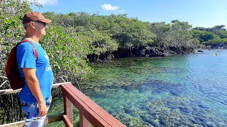 GALAPAGOS:  UNA ISLA LLAMADA ISABELA