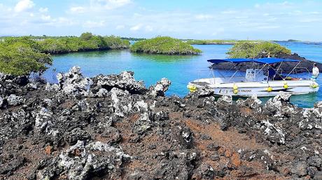 GALAPAGOS:  UNA ISLA LLAMADA ISABELA