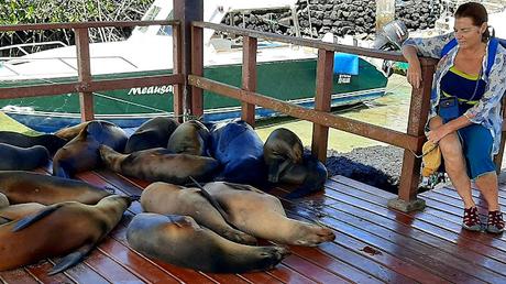 GALAPAGOS:  UNA ISLA LLAMADA ISABELA