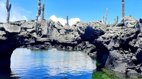 GALAPAGOS:  UNA ISLA LLAMADA ISABELA