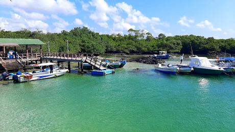 GALAPAGOS:  UNA ISLA LLAMADA ISABELA