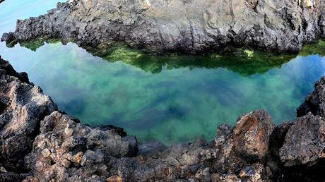 GALAPAGOS:  UNA ISLA LLAMADA ISABELA