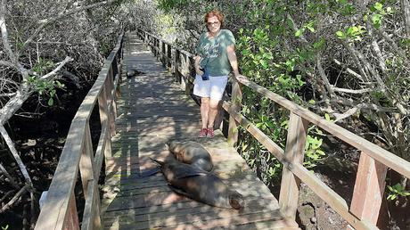 GALAPAGOS:  UNA ISLA LLAMADA ISABELA