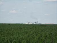 Cañaveral e ingenio de Okeelanta