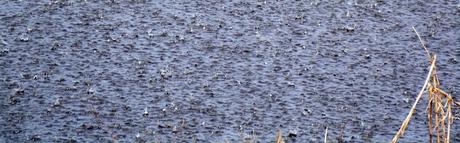 Lloviendo sobre el canal