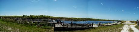 Plataforma o boardwalk en el Loxahatchee NWR