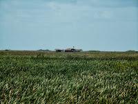  Cabañas entre las ciénagas