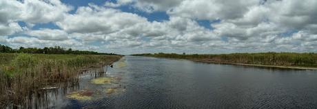 Canal exterior de la WCA 1 desde una de tantas plataformas para la medición de las aguas y su calidad