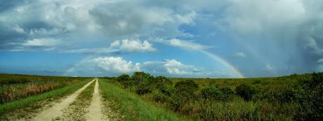 Dique L35B hacia el oeste. A la izquierda la WCA 2A y a la derecha la WCA 2B