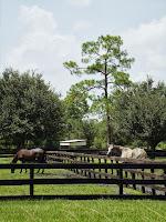 En la Glades Cut Off Rd