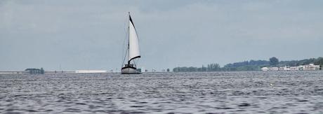 Paisajes del Indian River