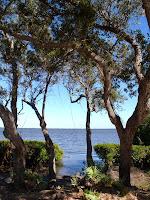 Paisajes del río Banana