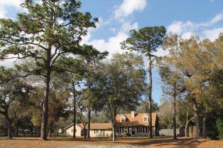 Casas llegando a Geneva Casas llegando a Geneva