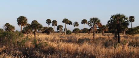 Seminole Ranch Preserve Seminole Ranch Preserve