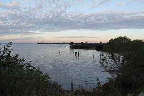 Indian River en Merrit Island Indian River en Merrit Island